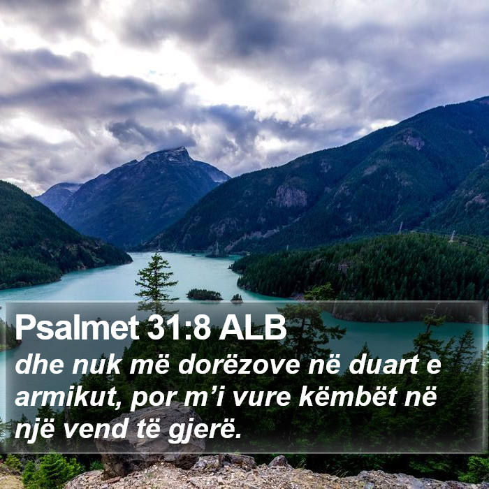 Psalmet 31:8 ALB Bible Study