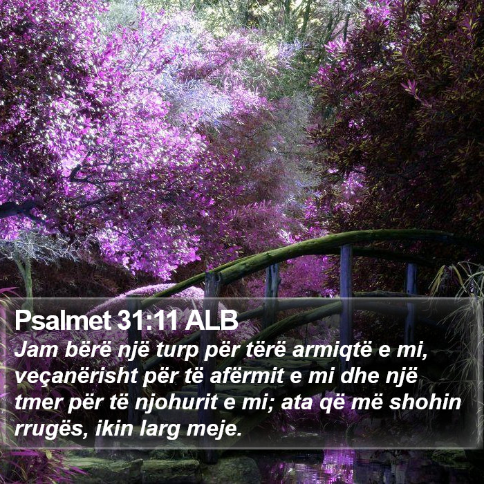 Psalmet 31:11 ALB Bible Study