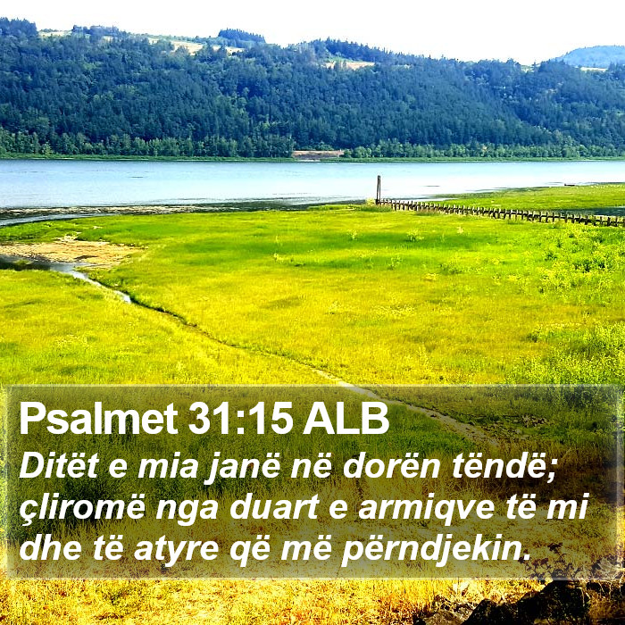 Psalmet 31:15 ALB Bible Study
