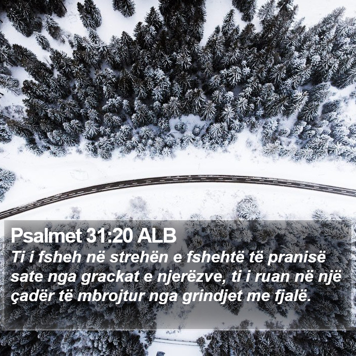 Psalmet 31:20 ALB Bible Study