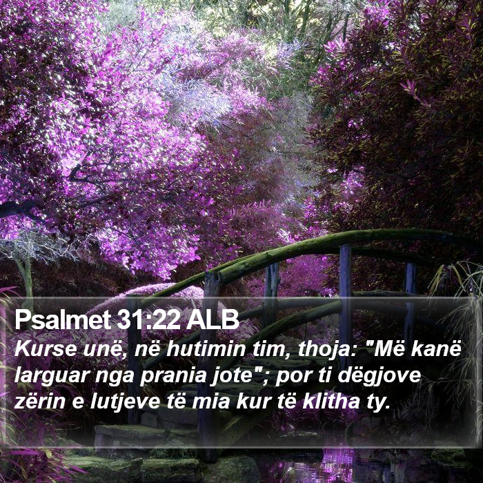 Psalmet 31:22 ALB Bible Study