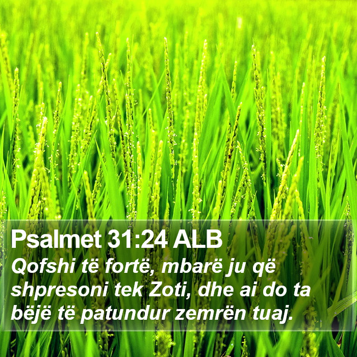 Psalmet 31:24 ALB Bible Study