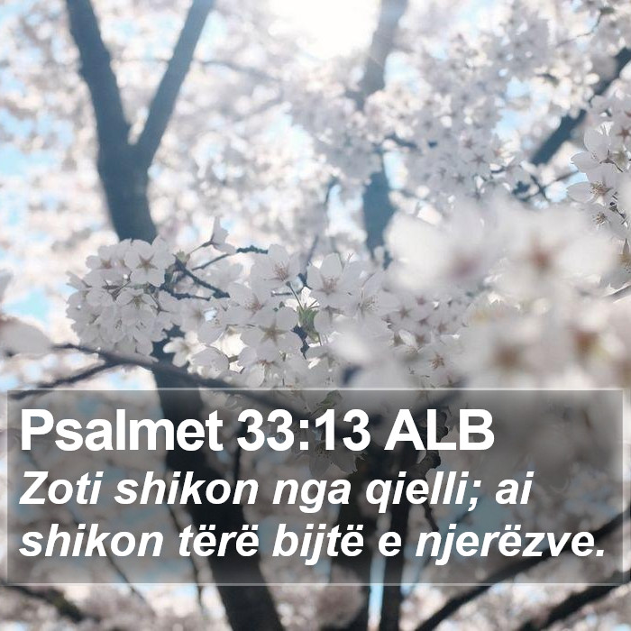 Psalmet 33:13 ALB Bible Study