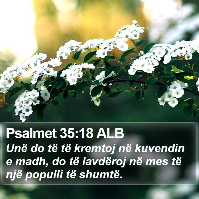 Psalmet 35:18 ALB Bible Study