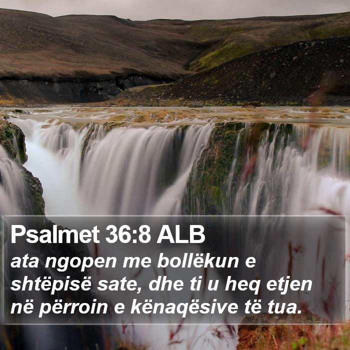 Psalmet 36:8 ALB Bible Study