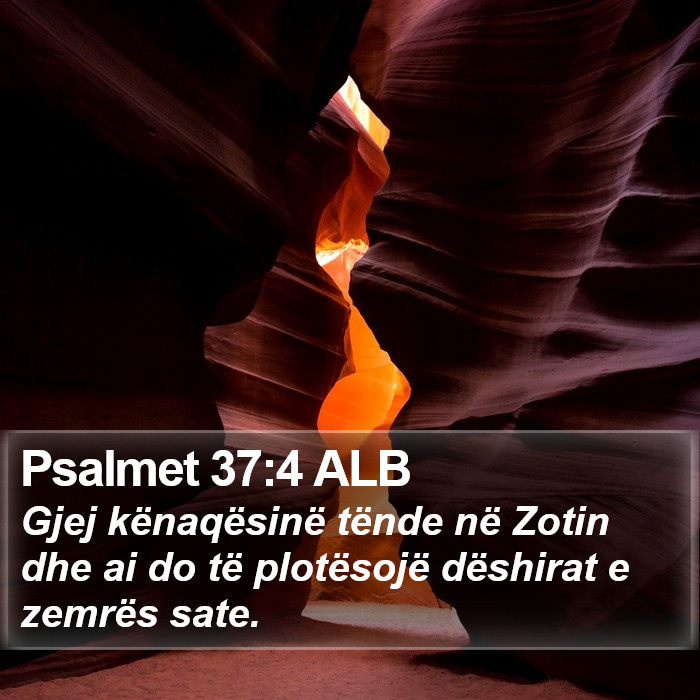 Psalmet 37:4 ALB Bible Study