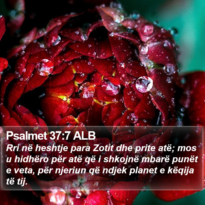 Psalmet 37:7 ALB Bible Study