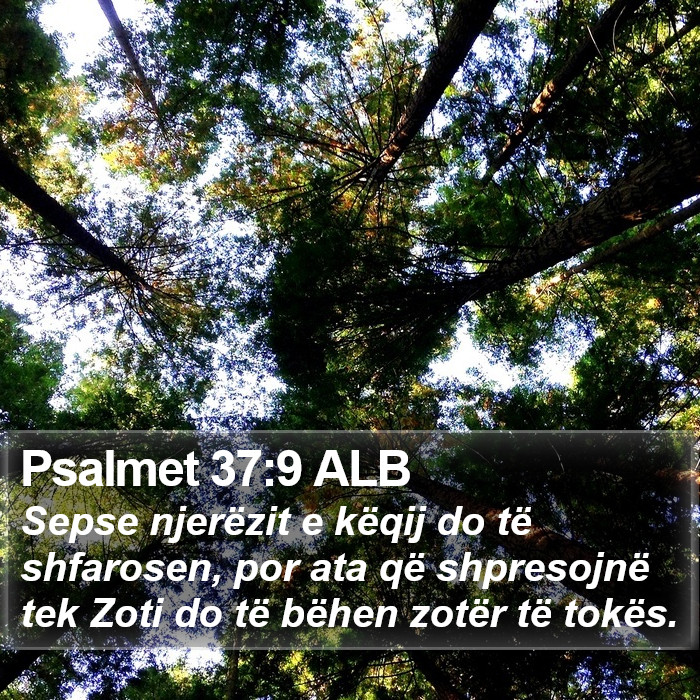 Psalmet 37:9 ALB Bible Study