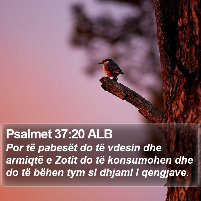 Psalmet 37:20 ALB Bible Study