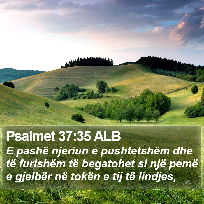 Psalmet 37:35 ALB Bible Study