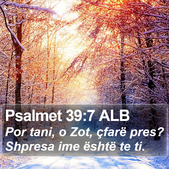 Psalmet 39:7 ALB Bible Study