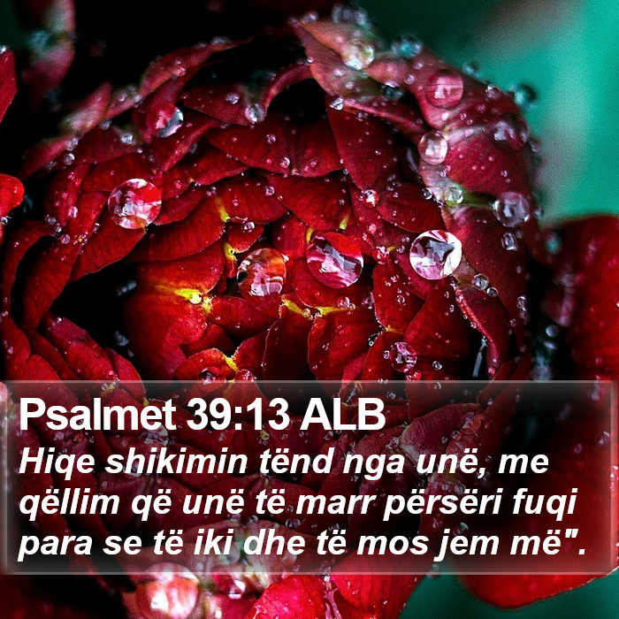 Psalmet 39:13 ALB Bible Study