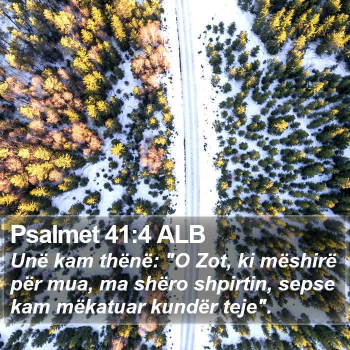 Psalmet 41:4 ALB Bible Study