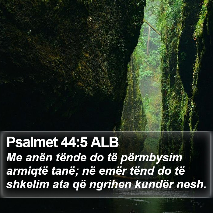 Psalmet 44:5 ALB Bible Study