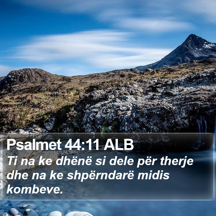 Psalmet 44:11 ALB Bible Study