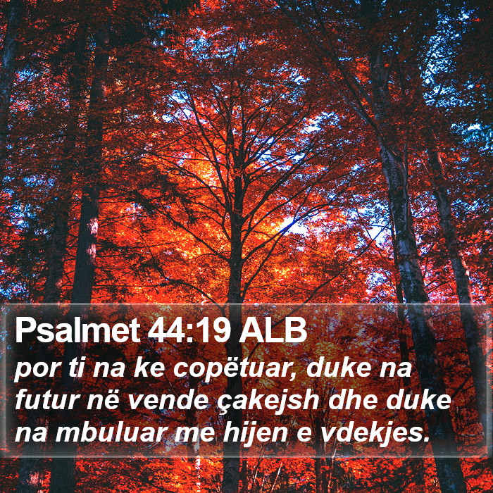 Psalmet 44:19 ALB Bible Study