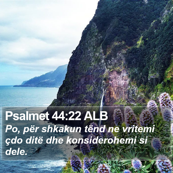 Psalmet 44:22 ALB Bible Study