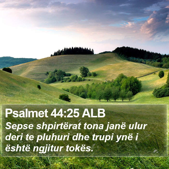 Psalmet 44:25 ALB Bible Study