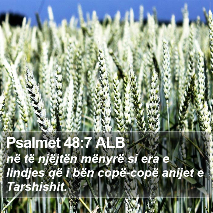 Psalmet 48:7 ALB Bible Study
