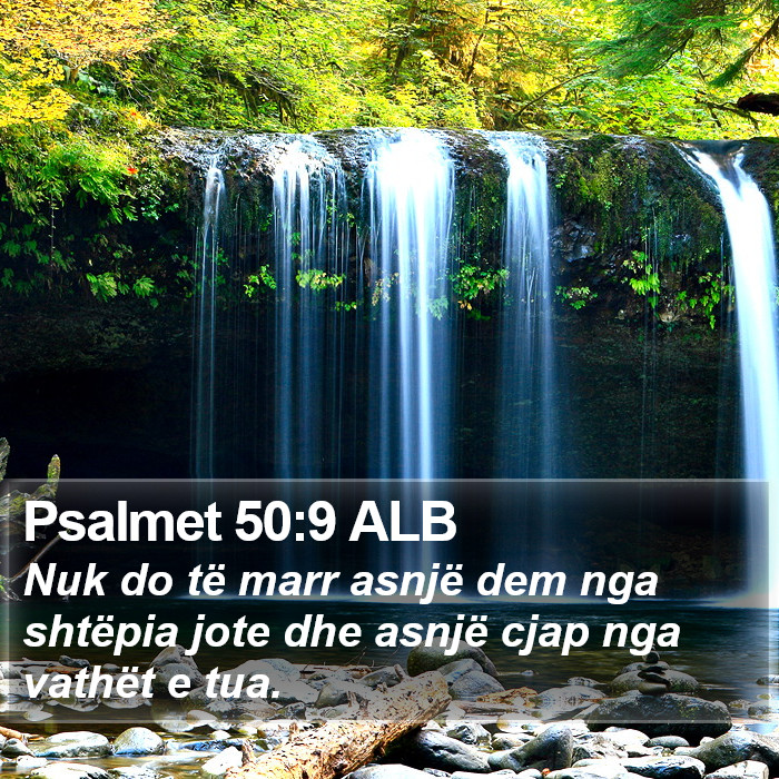 Psalmet 50:9 ALB Bible Study