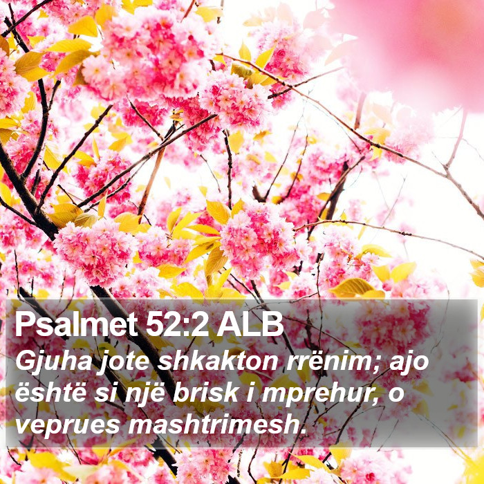 Psalmet 52:2 ALB Bible Study