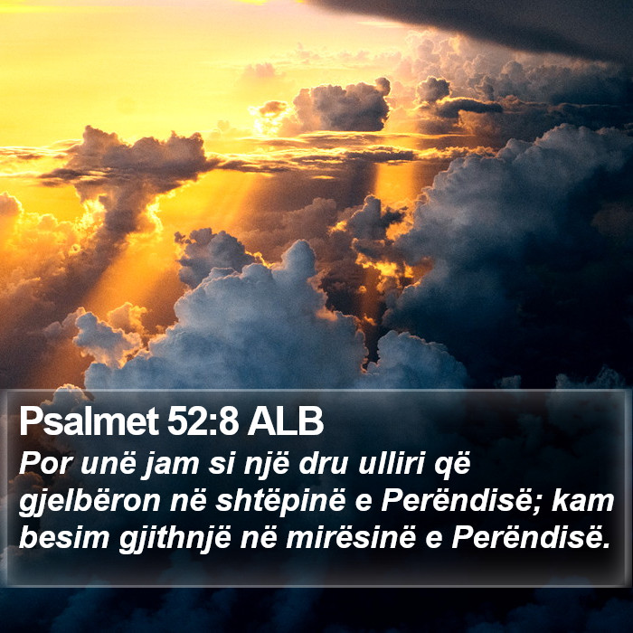 Psalmet 52:8 ALB Bible Study