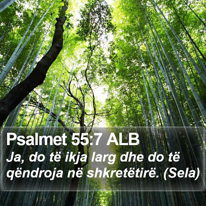 Psalmet 55:7 ALB Bible Study