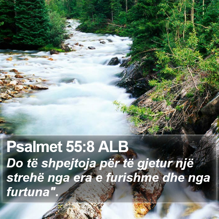 Psalmet 55:8 ALB Bible Study