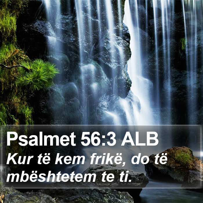 Psalmet 56:3 ALB Bible Study
