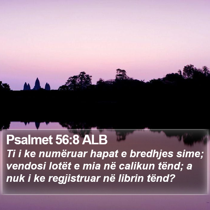 Psalmet 56:8 ALB Bible Study