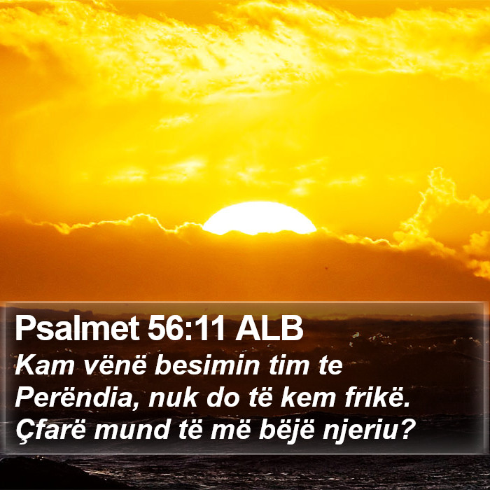 Psalmet 56:11 ALB Bible Study