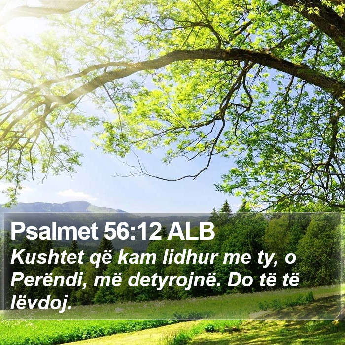 Psalmet 56:12 ALB Bible Study
