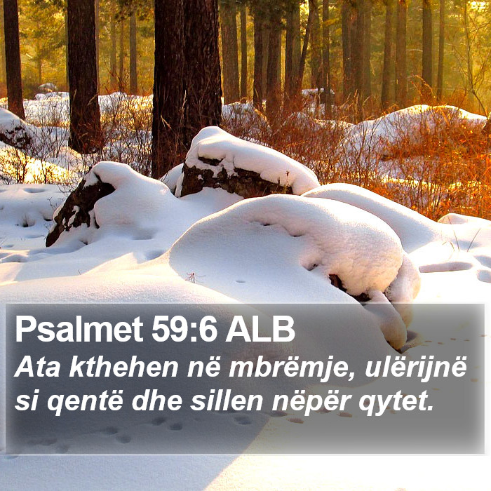 Psalmet 59:6 ALB Bible Study