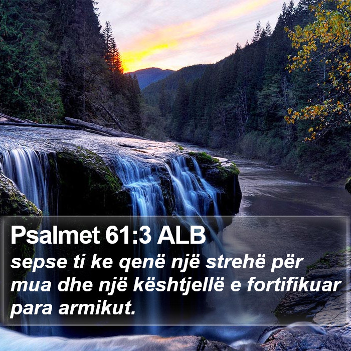 Psalmet 61:3 ALB Bible Study