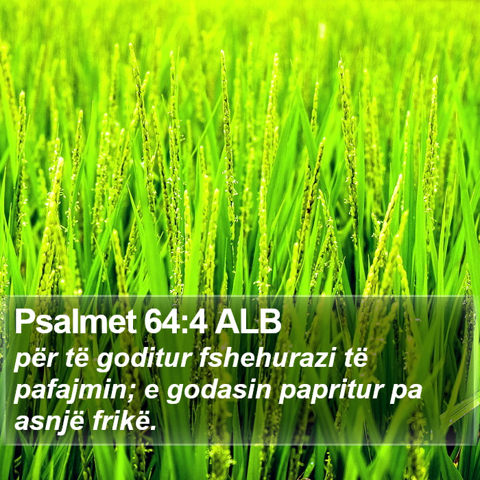 Psalmet 64:4 ALB Bible Study