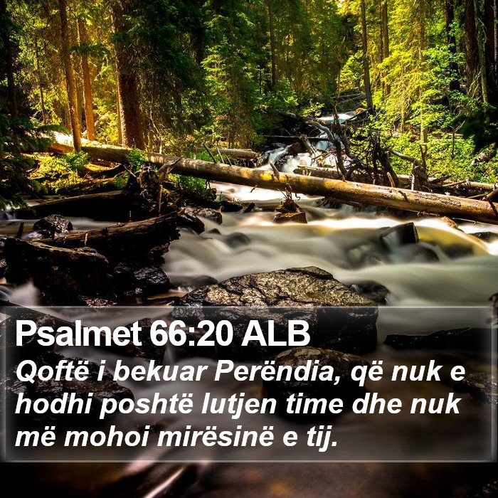 Psalmet 66:20 ALB Bible Study