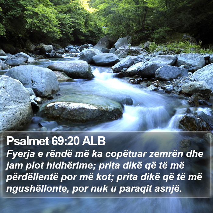 Psalmet 69:20 ALB Bible Study