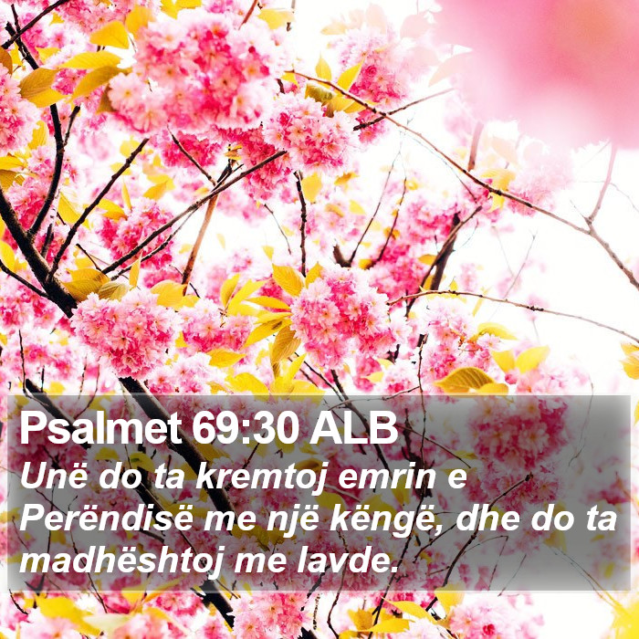 Psalmet 69:30 ALB Bible Study