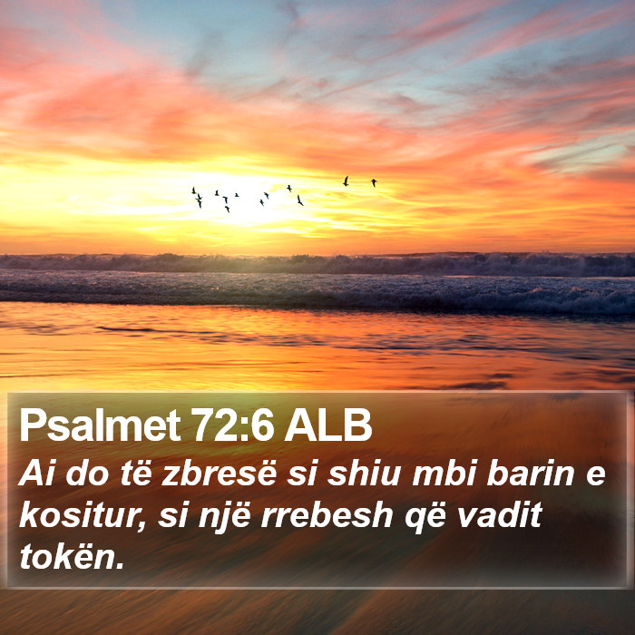 Psalmet 72:6 ALB Bible Study
