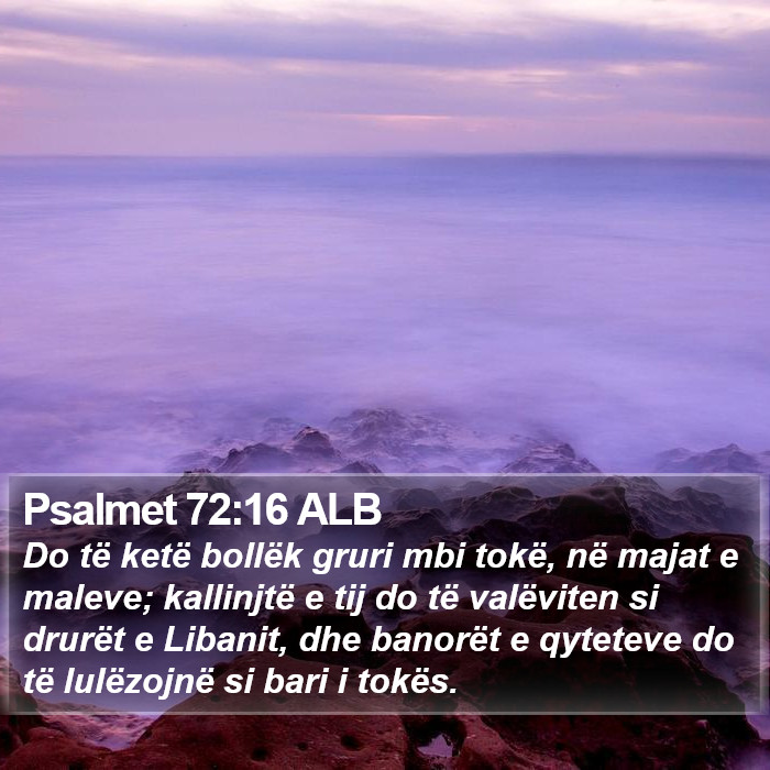 Psalmet 72:16 ALB Bible Study