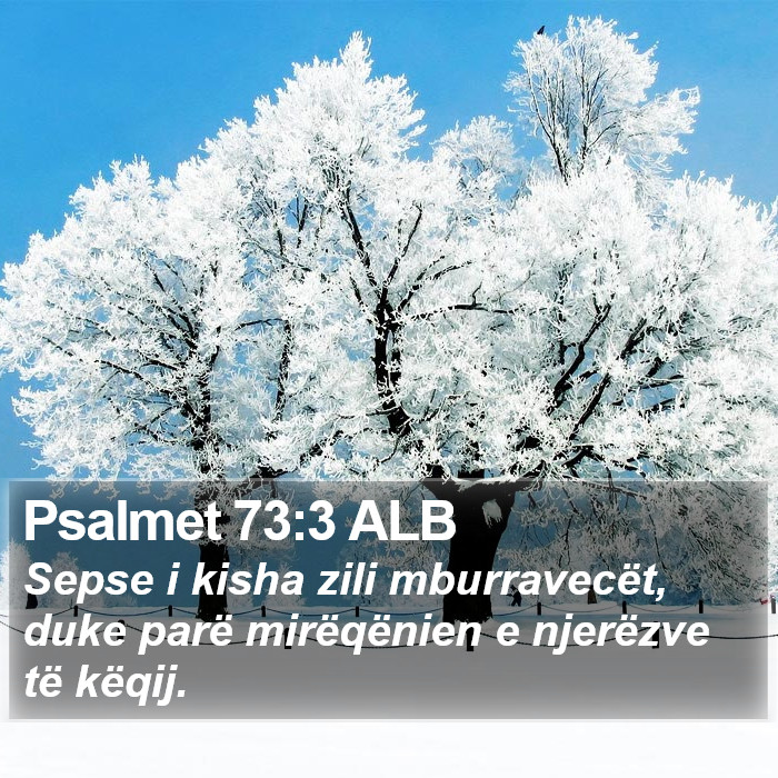 Psalmet 73:3 ALB Bible Study