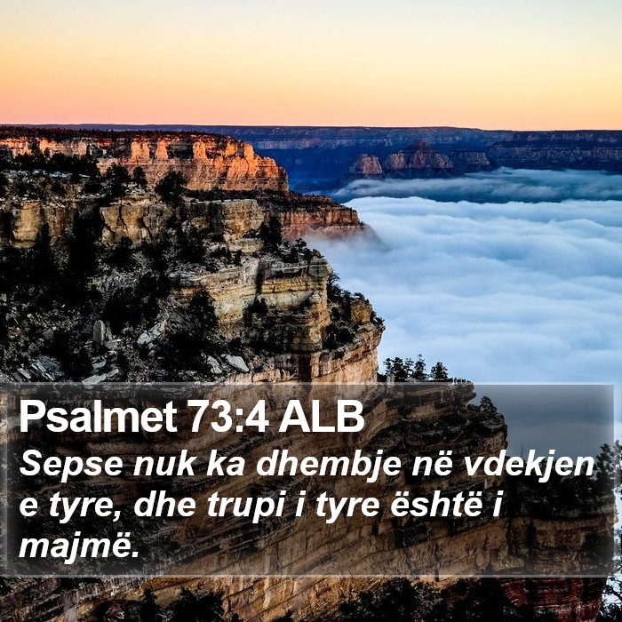Psalmet 73:4 ALB Bible Study