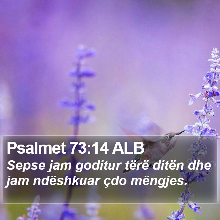 Psalmet 73:14 ALB Bible Study