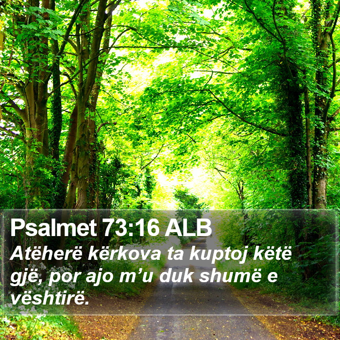 Psalmet 73:16 ALB Bible Study