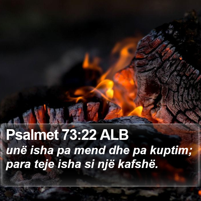 Psalmet 73:22 ALB Bible Study