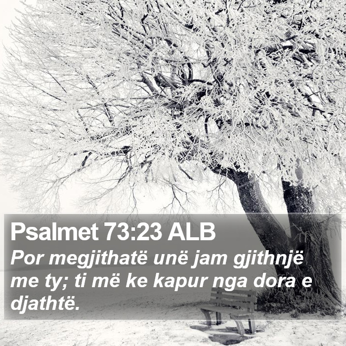Psalmet 73:23 ALB Bible Study