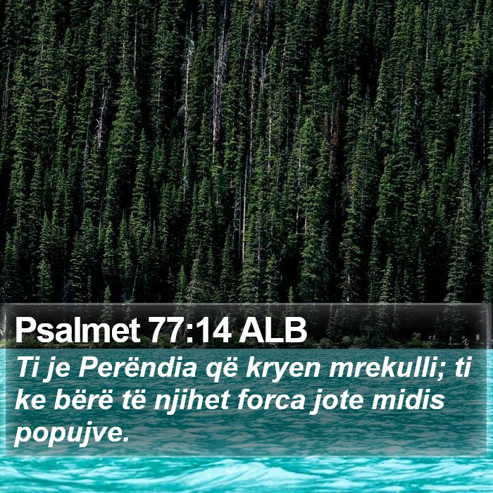 Psalmet 77:14 ALB Bible Study