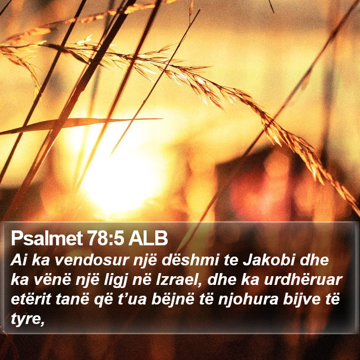 Psalmet 78:5 ALB Bible Study
