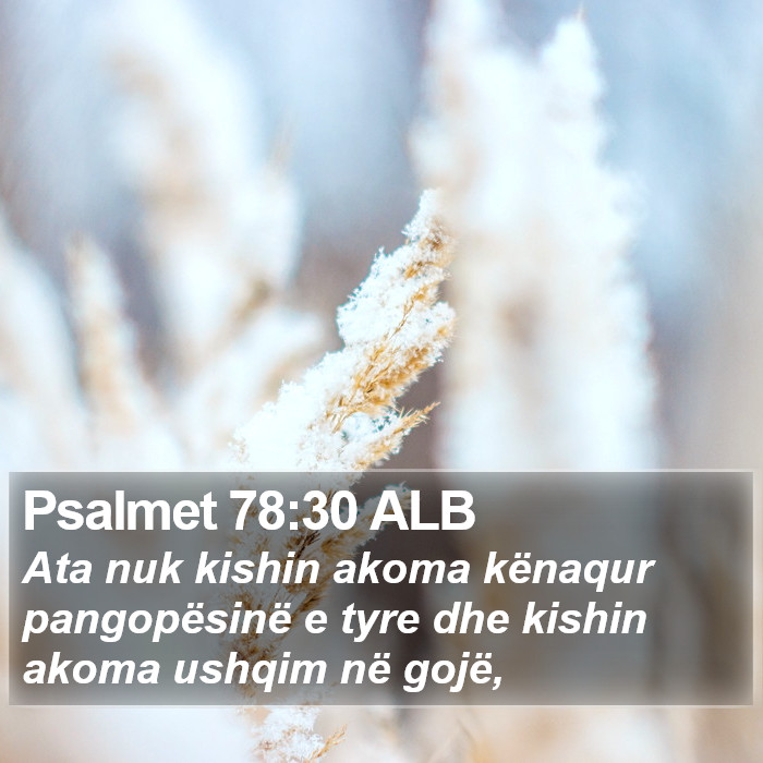 Psalmet 78:30 ALB Bible Study
