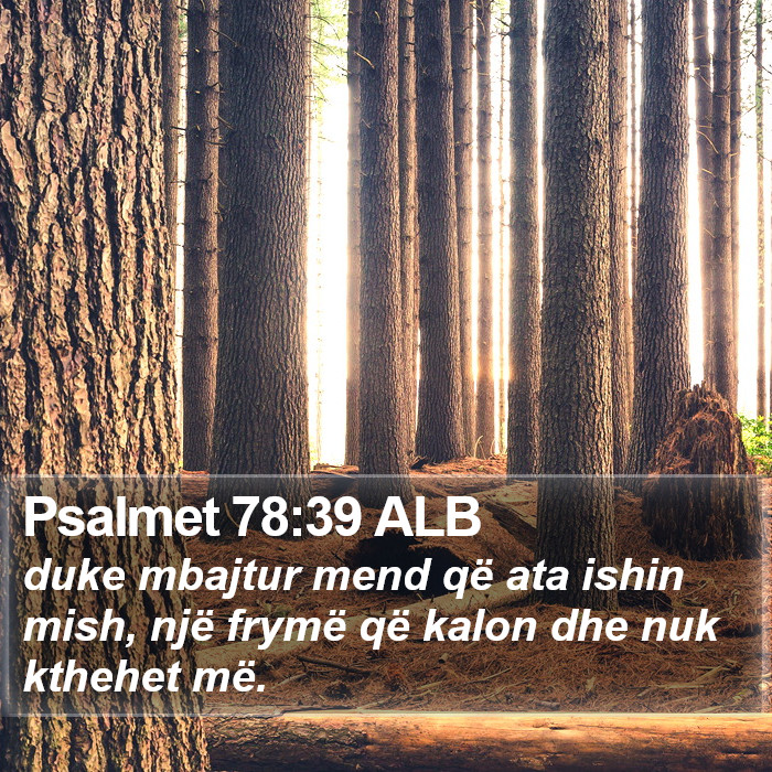 Psalmet 78:39 ALB Bible Study